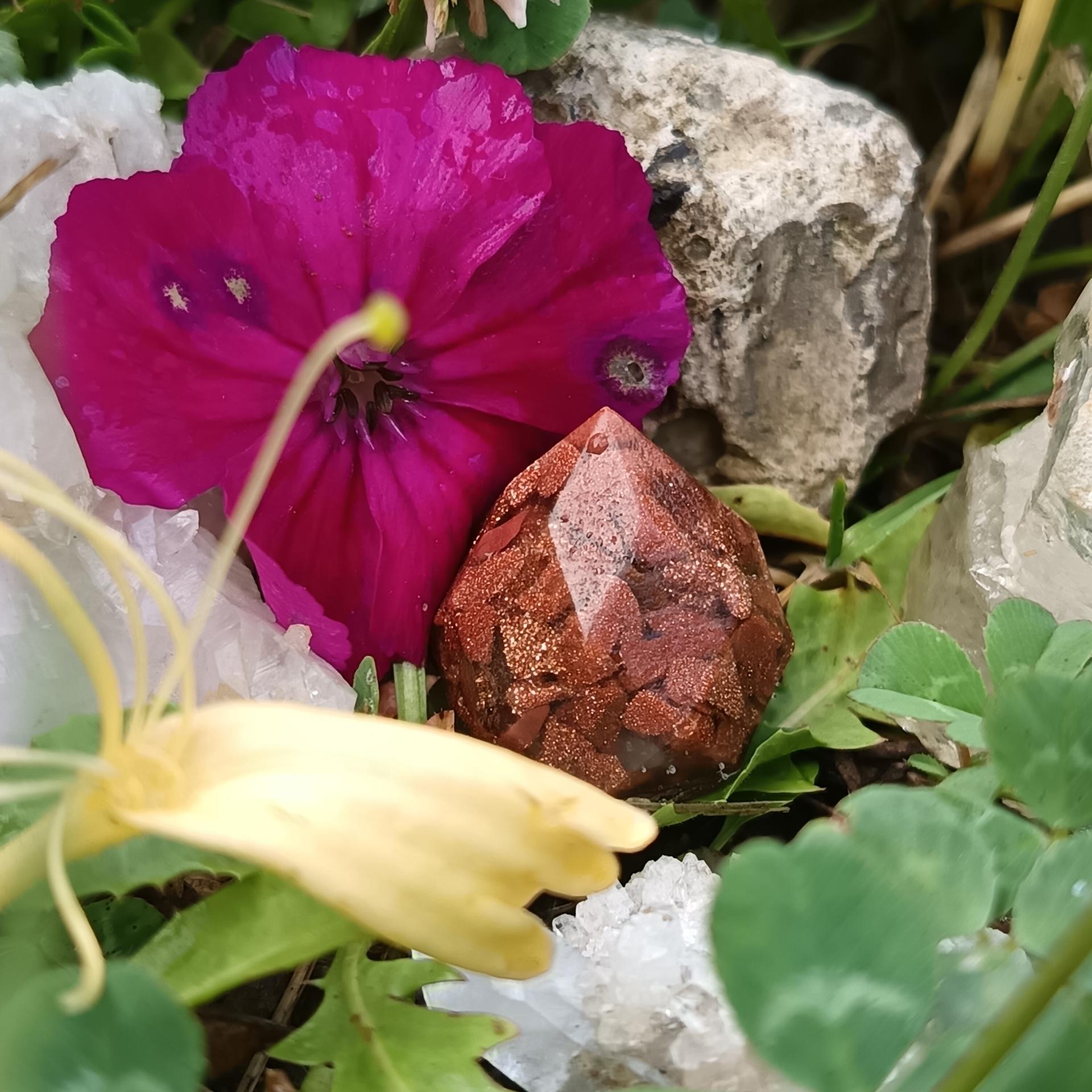 Pierre desoleilz6mini