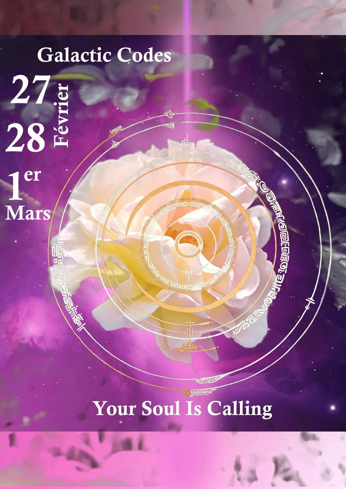 Weblightlanguage18starseedawaksningriseup