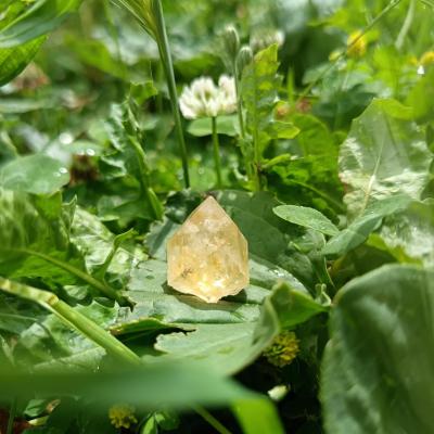 Z5 citrine