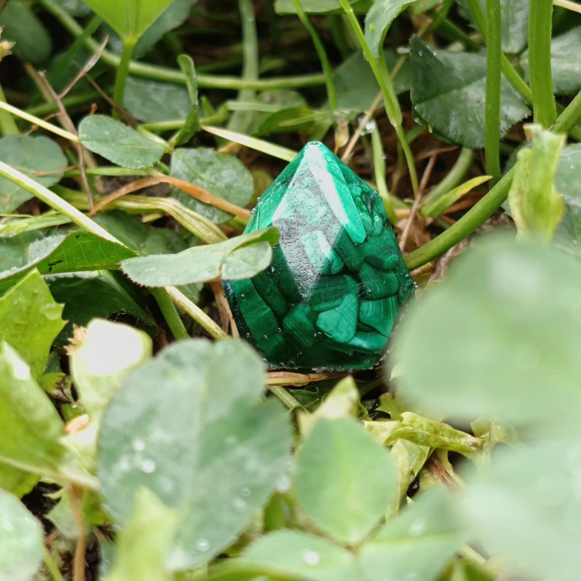 Z5 malachite