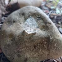 Z5 quartz tourmaline rutil