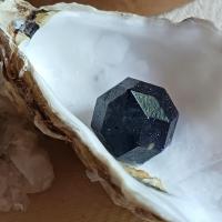 Z6 starlight blue golstone